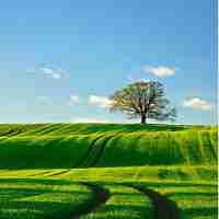 数﻿据﻿库‌高‌效‌优‍化​